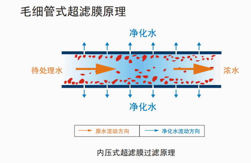 1663118841125632.jpg 12.jpg