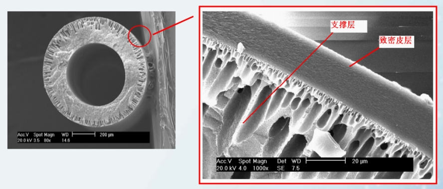 1664329284626200.jpg 111.jpg