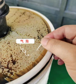 1667359146147623.jpg 2.jpg