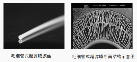 1676684146194346.jpg 1676684113704.jpg