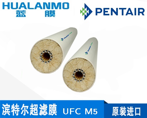 1743410945349362.jpg 677.jpg